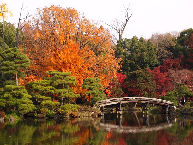 「渉成園 紅葉」の画像検索結果